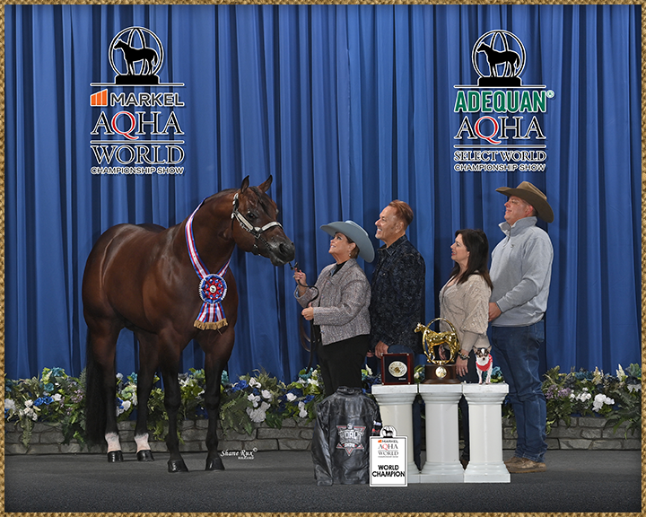 Quarter Horse Show Barn