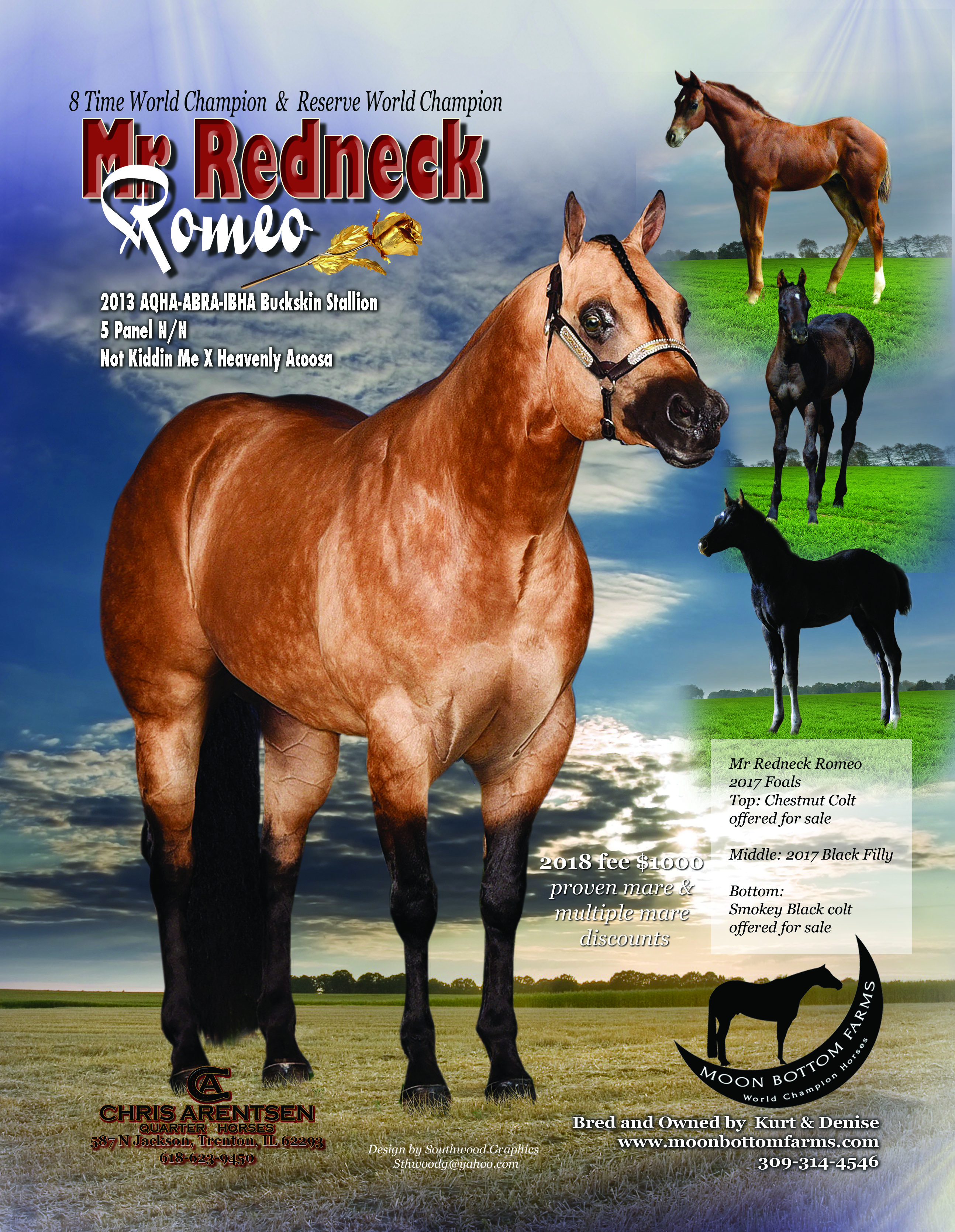 Redneck Ranch Index of /stallions/redneck romeo/